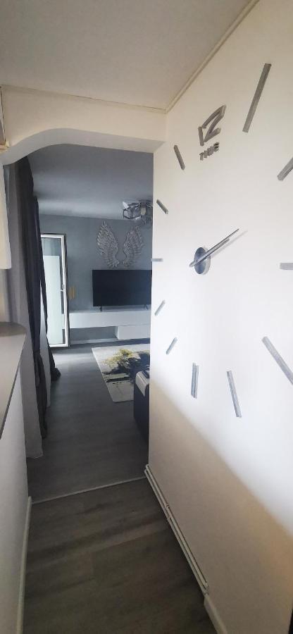 Garsoniera Ultracentral Apartment Constanta