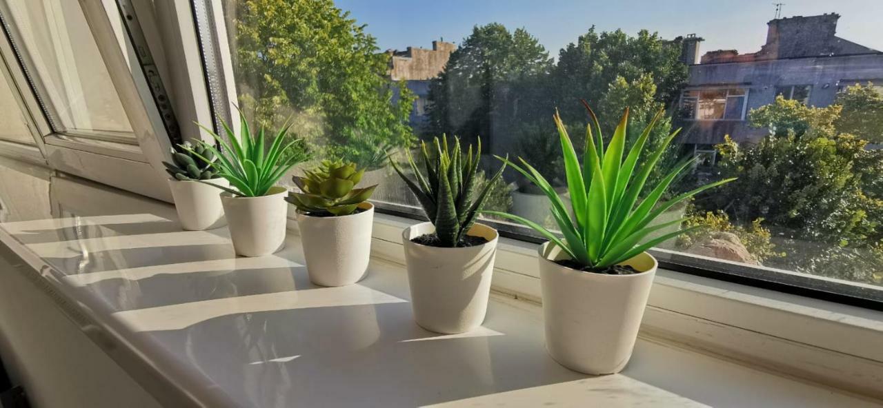 Appartamento Garsoniera Ultracentral Constanţa